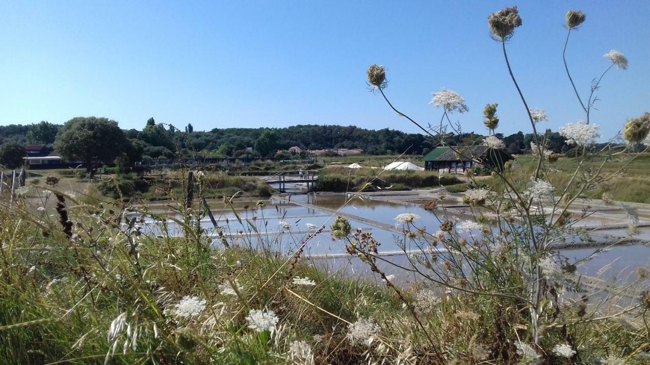 La Chaumette Villa Les Sables-dʼOlonne Eksteriør billede
